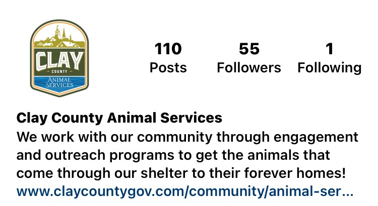 Animal Services Instagram