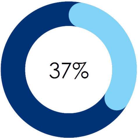 circular chart showing 37% towards hitting the Grants bold goal